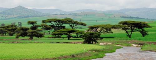 17-curiosities-of-Ethiopia-that-you-should-know-before-going-930x360-1